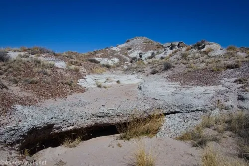 A small dryfall while walking up the wash almost to the mesatop en route to First Forest Point, Petrified Forest National Park, Arizona