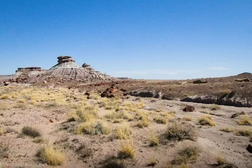 Looking back just after leaving the wash on the way to First Forest Point, Petrified Forest National Park, Arizona