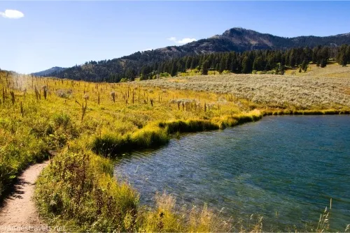 The trail winding around to the western shore of Trout Lake, Yellowstone National Park, Wyoming