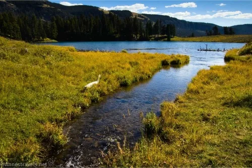 The inlet of Trout Lake, Yellowstone National Park, Wyoming