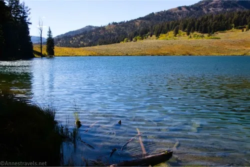 Views of Trout Lake near the outlet, Yellowstone National Park, Wyoming