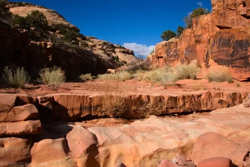 Looking back upcanyon just above the bigger dryfall in Cove Canyon, Maze District of Canyonlands National Park, Utah