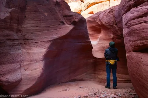 Looking back up the bigger dryfall in Cove Canyon, Maze District of Canyonlands National Park, Utah