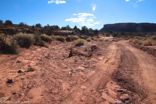 Cove Canyon Wash and the Waterhole Flat Road looking east-ish, Maze District of Canyonlands National Park, Utah