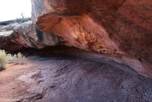 One of the "coves" (overhangs) for which Cove Canyon is named, Maze District of Canyonlands National Park, Utah
