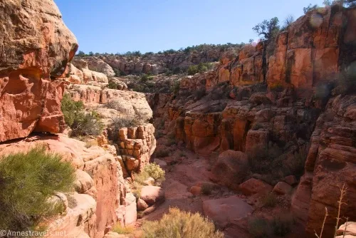 Looking into Cove Canyon below the bigger dryfall, Maze District of Canyonlands National Park, Utah