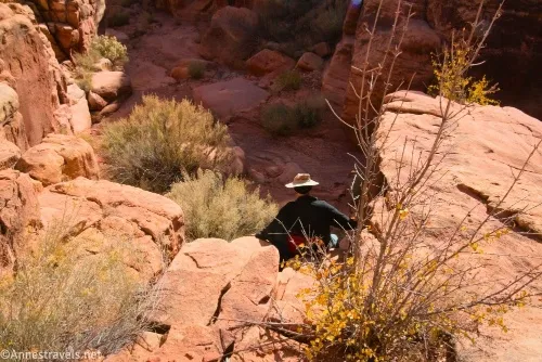 One of my group members descending the bypass around the bigger dryfall in Cove Canyon, Maze District of Canyonlands National Park, Utah