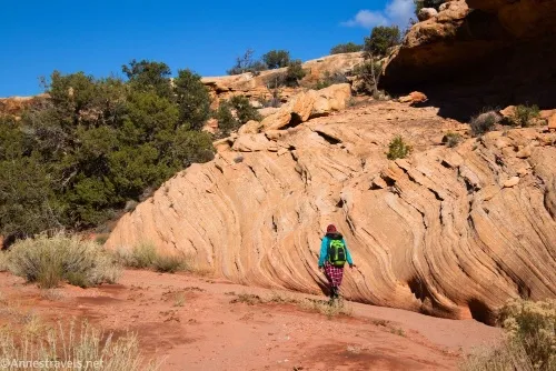 Textured rocks in upper Cove Canyon, Maze District of Canyonlands National Park, Utah