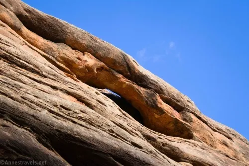He's pointing at a little arch in Cove Canyon, Maze District of Canyonlands National Park, Utah