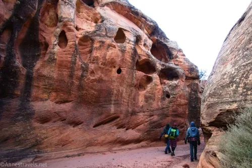 Hiking past holes in the wall of Cove Canyon, Maze District of Canyonlands National Park, Utah