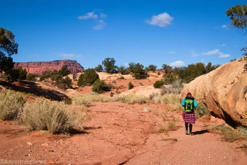 Hiking up the upper reaches of Cove Canyon, Maze District of Canyonlands National Park, Utah