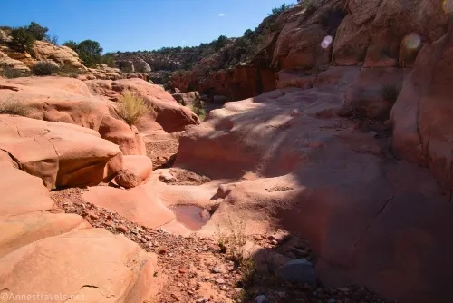 Approaching the top of the bigger dryfall in Cove Canyon, Maze District of Canyonlands National Park, Utah