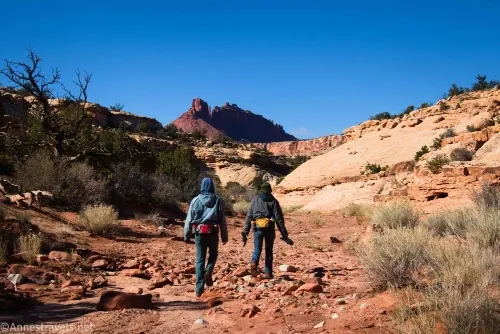 Views toward the Sewing Machine on our way back up Cove Canyon, Maze District of Canyonlands National Park, Utah