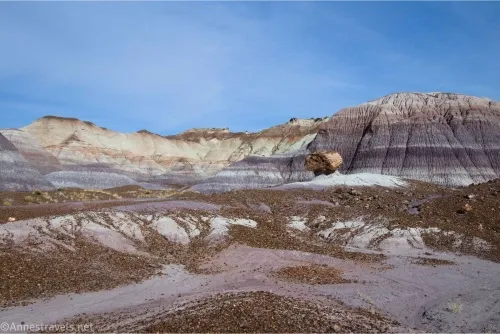 A piece of petrified wood below purple striped badlands and blue skies