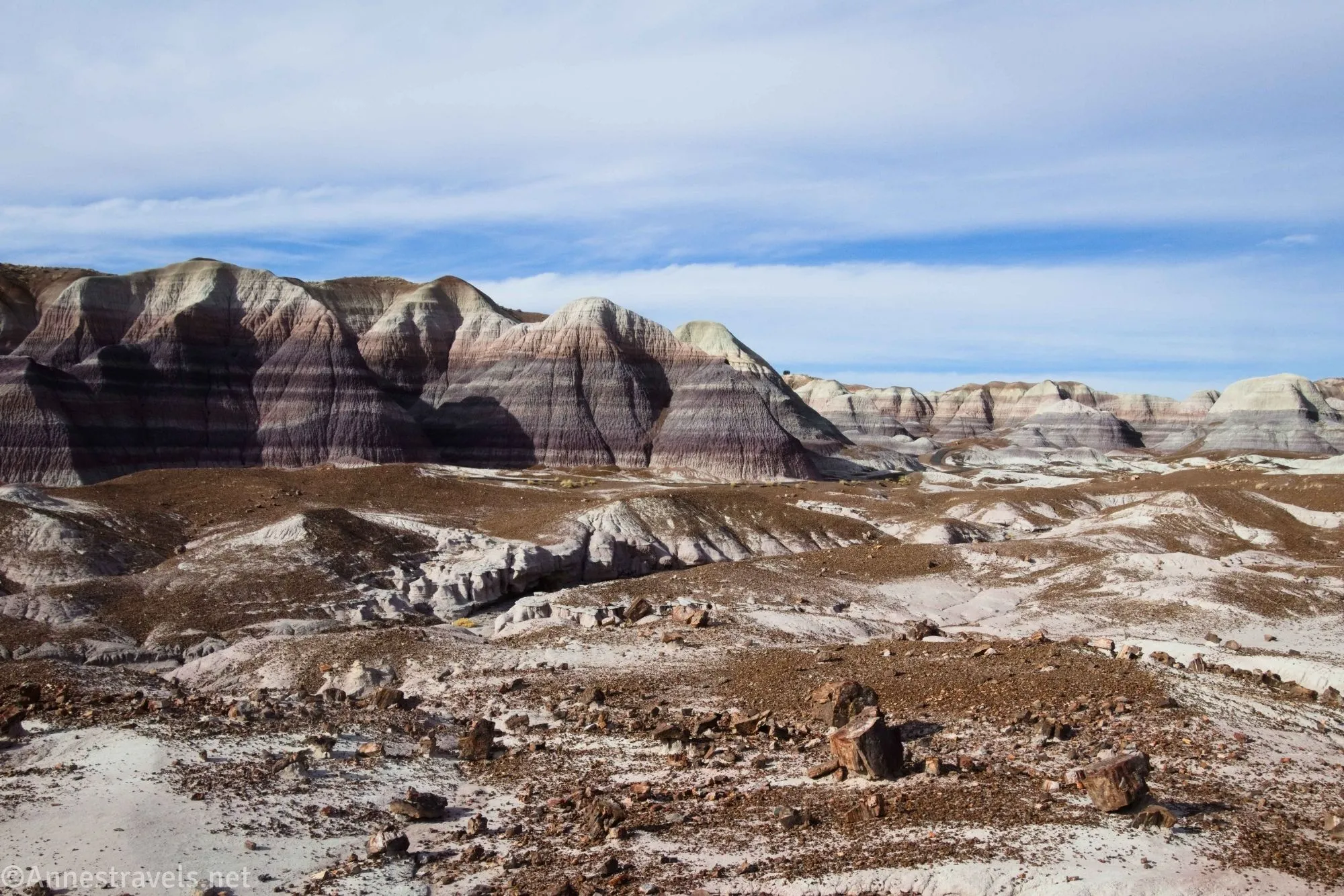 Petrified wood sits on a plain below striped, multi-colored badlands below cloudy skies