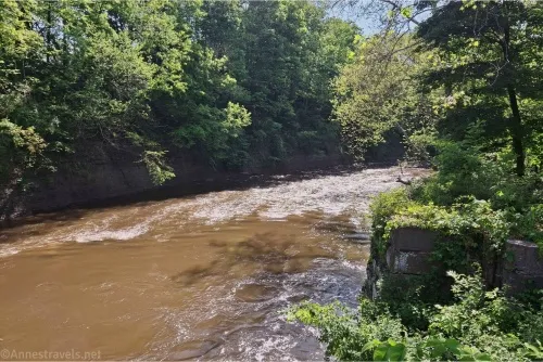 A brown river between green trees 