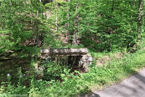 Old stones that were once part of a canal among green trees 