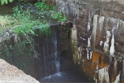Greenery overhangs a small waterfall into rocks with white and orange lichen 