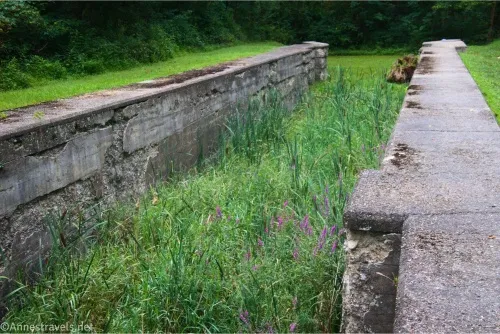 An old stone canal lock filled with green reeds and purple flowers 