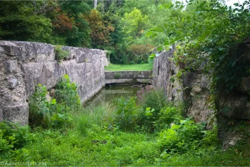 Greenery surrounds an old canal lock with water in it 