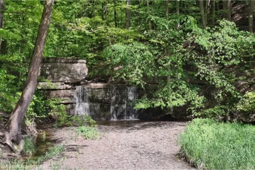 A small waterfall is hidden by trees as it falls down stacked rocks