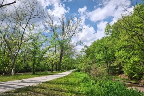 Clouds sail over the trees above a trail and a small stream 