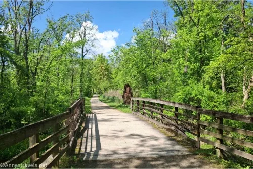 A path travels between fences on either side with green trees and blue skies and a small white cloud 