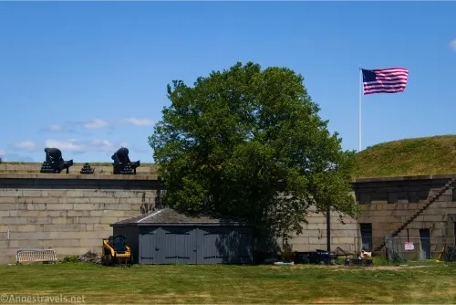 Stone walls, two cannons, a flag, a bobcat, and a tree inside Fort Independence