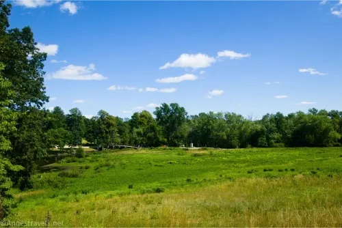 A green field ends at green trees with blue sky and a few clouds