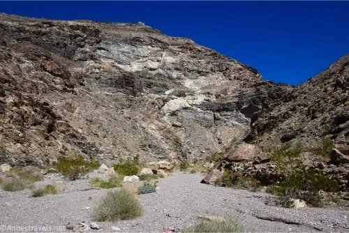 A desert canyon with a few sparse bushes winds toward a cliff and into the mountains