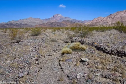 A desert plain dotted with greasebushes ends at colorful desert mountains