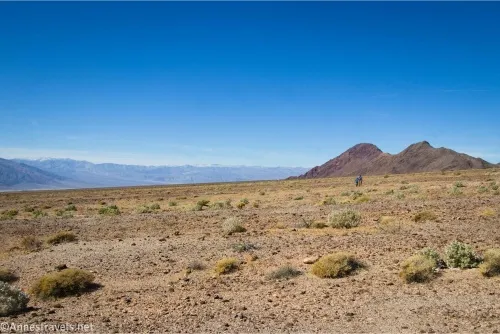 A desert plain scattered with small bushes and two small hills in the distance 