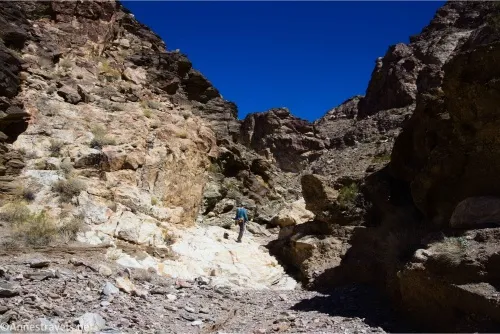 A hiker ascends a white rock in a dry desert canyon 