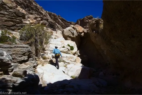 A hiker walks up a steep white ramp of rocks in a desert canyon 