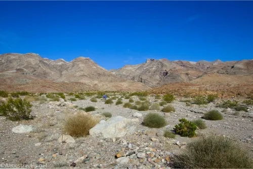 A desert landscape with small bushes, rocks, and gravel with mountains int he distance