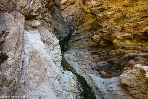A trickle of water descends a rocky canyon