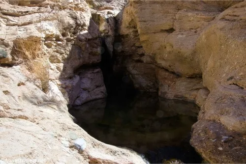 Water has carved out a small pool in tan rocks
