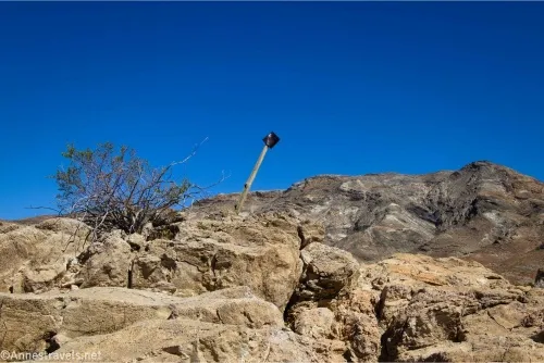 A rusty bucket sits on top of a wooden post atop a pile of rocks beside a greasebush 