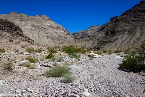 A desert canyon filled with sparse brush winds into the dry mountains 