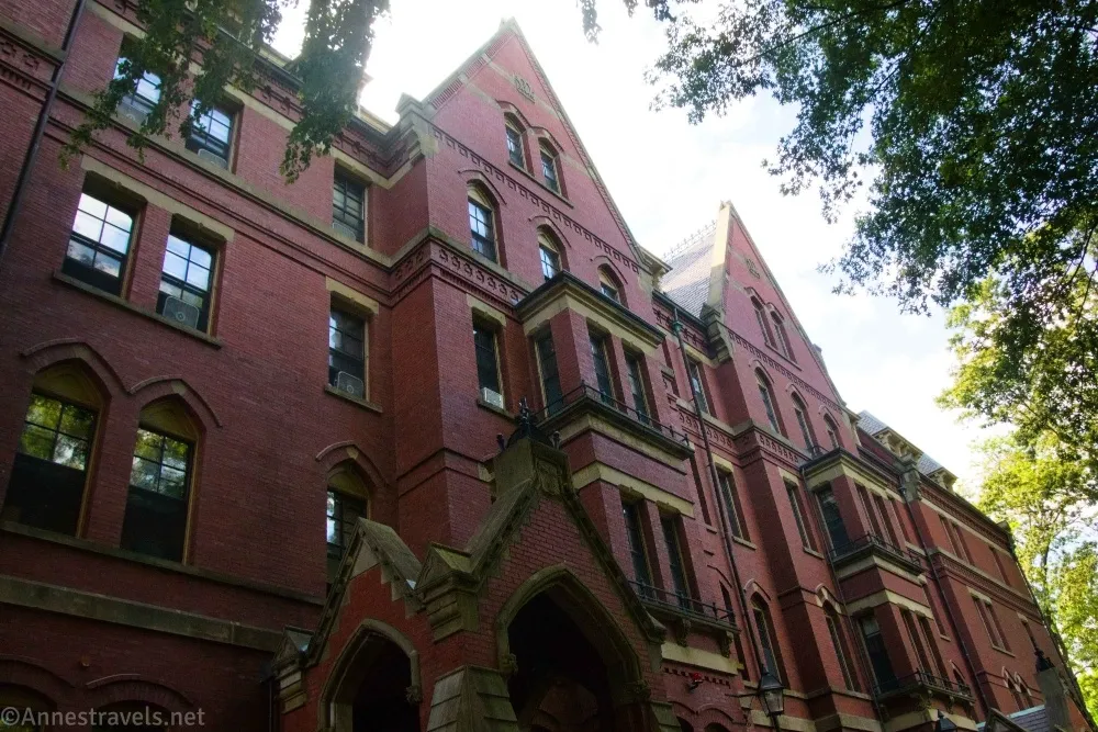 Looking up at a brick building with many windows overhung by trees