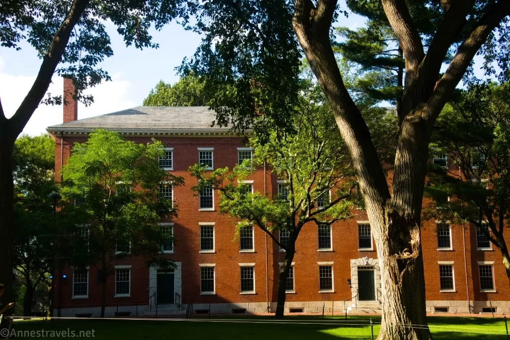 A brick building beyond several trees