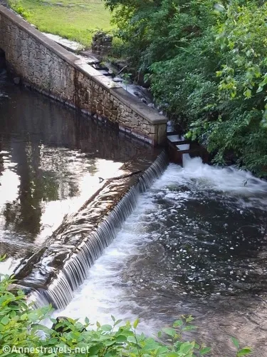 A small waterfall and a flume beside a green bush 