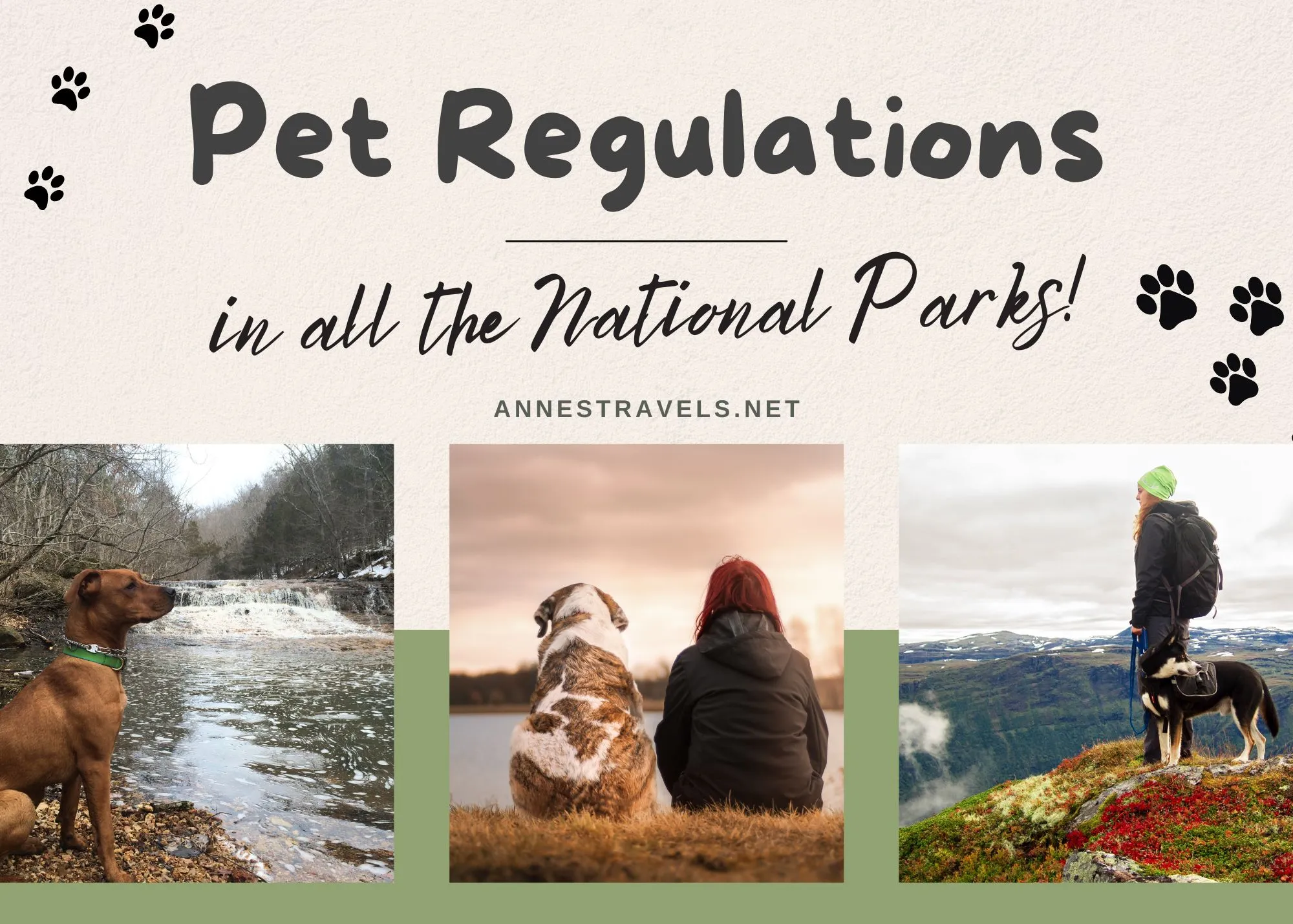 Three photos of dogs enjoying the outdoors with the text Pet Regulations in all the national parks!