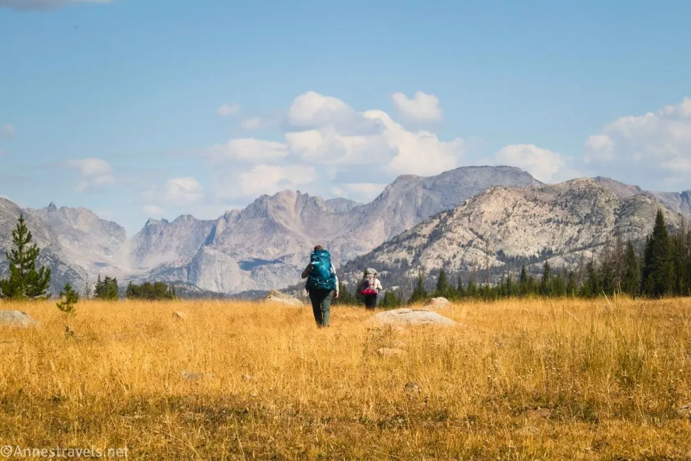 Two backpackers stride through a yellow grassy meadow with gray cliffs of mountains beyond