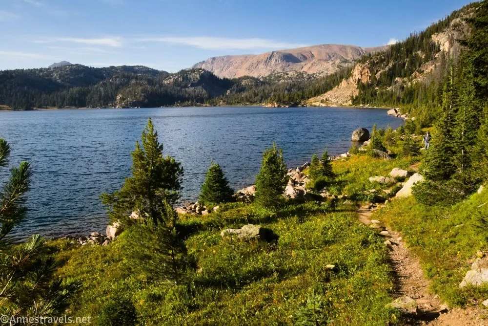 A dirt path travels in green grass and fir trees beside a blue lake with mountains in the distance
