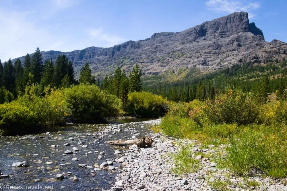 A towering gray cliff rises above dark green fir trees and lighter green foliage above a small, rocky creek