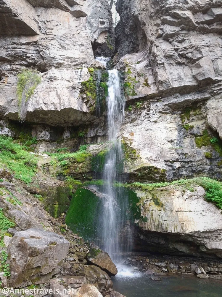 A waterfall spills down a gray cliff with moss and greenery around it