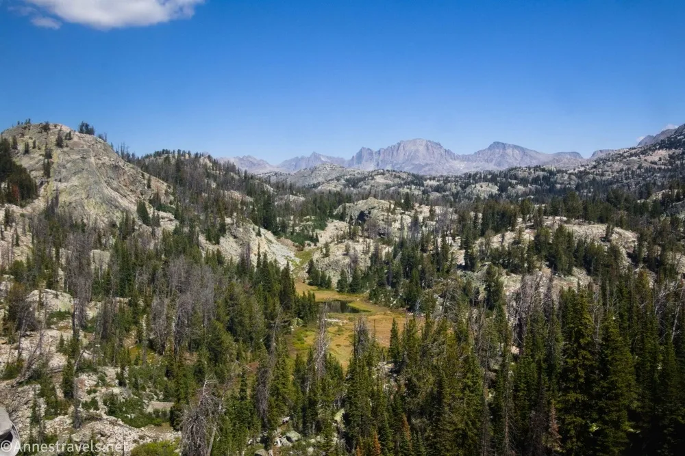 Trees ring a small meadows surrounded by large light gray rocks with mountains beyond