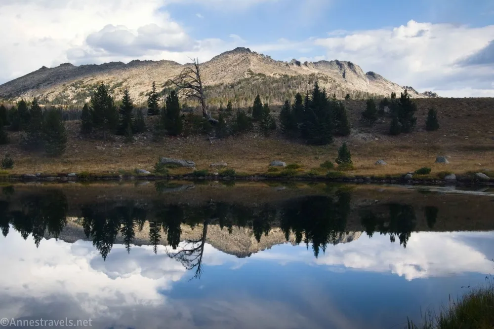 Mountains, fir trees, meadows, and clouds are reflected in a small lake