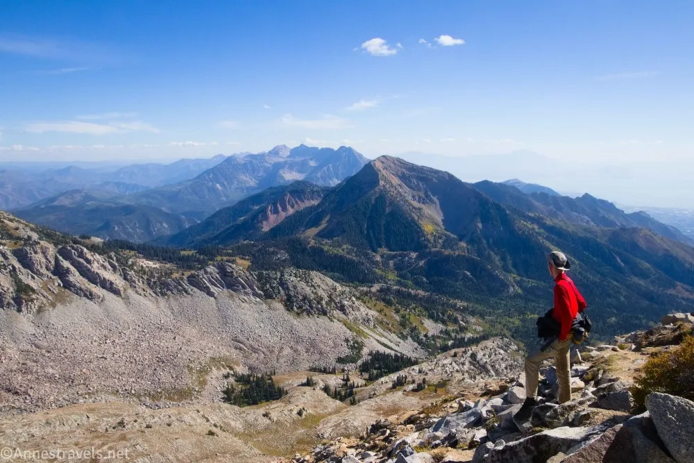 A hiker in a red shirt looks at the view of nearby and distant mountains